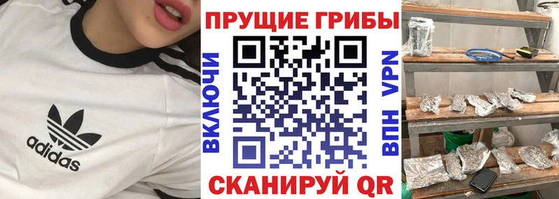 мориарти официальный сайт  Артёмовск  Псилоцибиновые грибы Magic Shrooms 